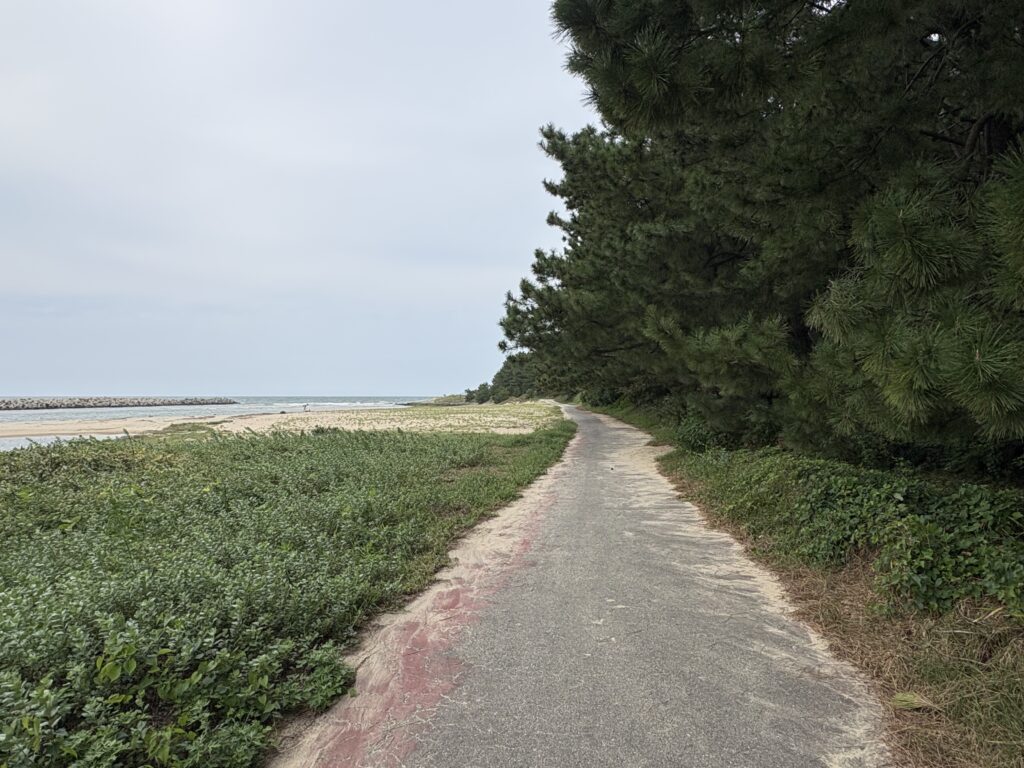古賀市の歩いてん道「浜辺コース」の入口から少し歩いたところ