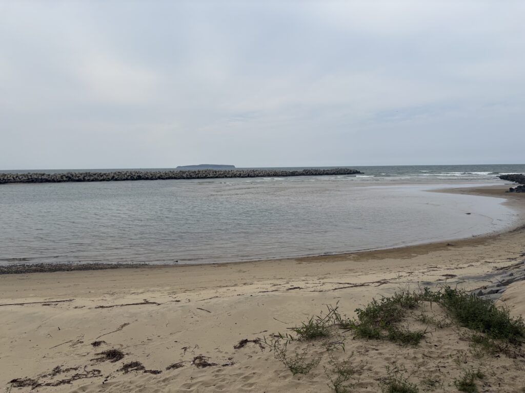 古賀市の歩いてん道浜辺コースから見える古賀海岸